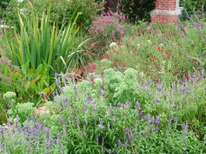 Bonick Landscaping Reflections on the Joys of Gardening  