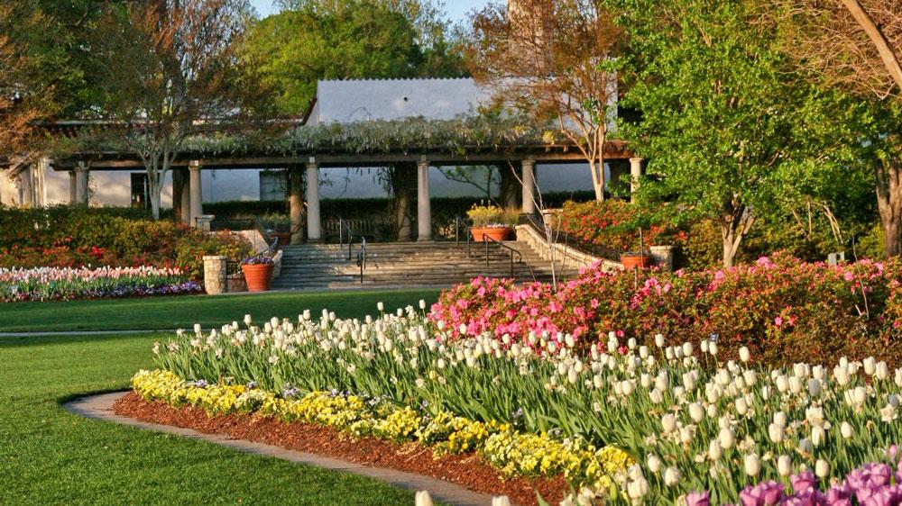 Dallas Blooms A Great Example Of, Garden Design Landscape Dallas