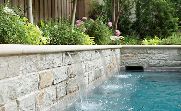 3 Basics of Pool Landscaping