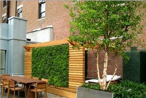 Bonick Landscaping Garden Up with Green Walls