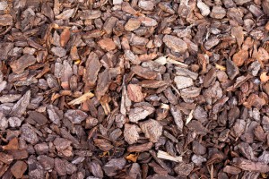 Bonick Landscaping What’s Your Mulch I.Q.?