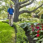 Bonick Landscaping Landscape Spring Cleaning Checklist 