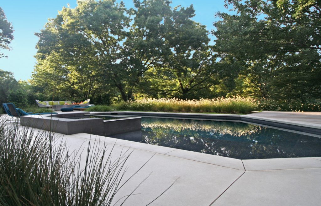 Bonick Landscaping Beauty Beneath the Bough: The Benefits of Trees  