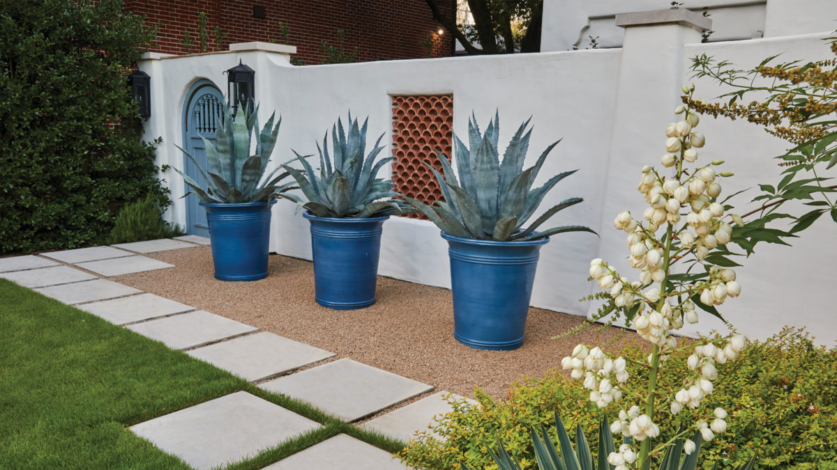 Developing a Drought-Tolerant Landscape