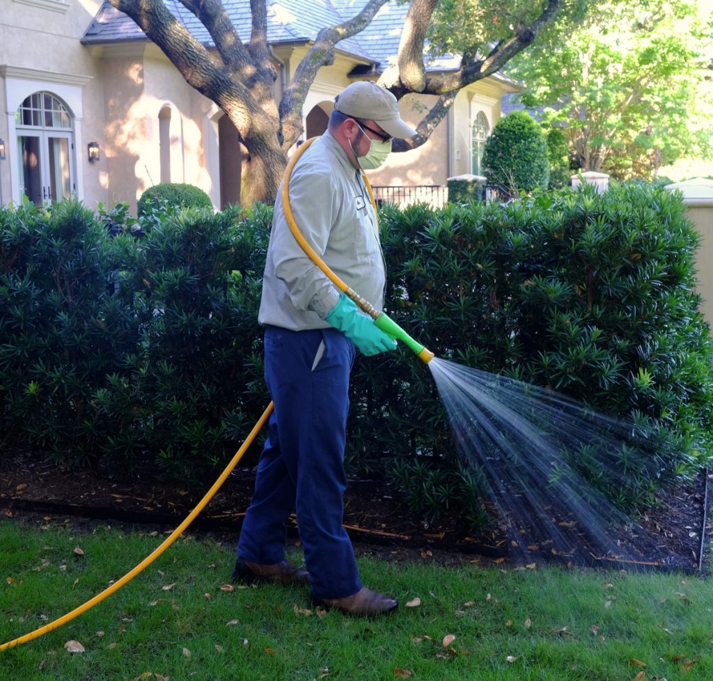 Bonick Landscaping Meet Aaron Dunlap, Dallas Plant Health Care Specialist  