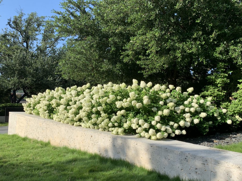 Bonick Landscaping Late Garden Bloomers  