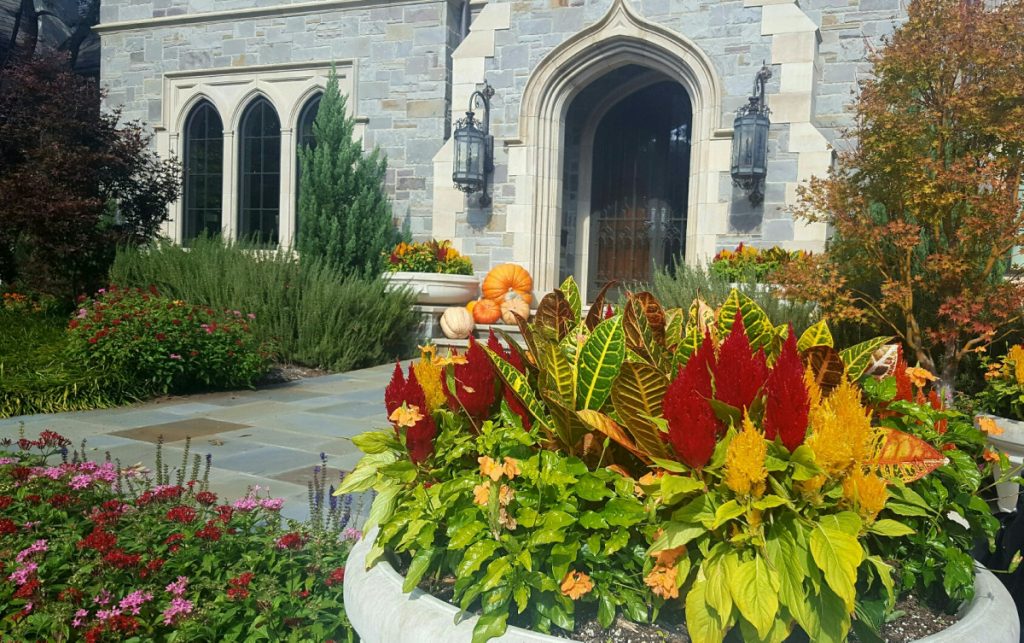 Bonick Landscaping Dazzle Your Landscape with Fall Color  