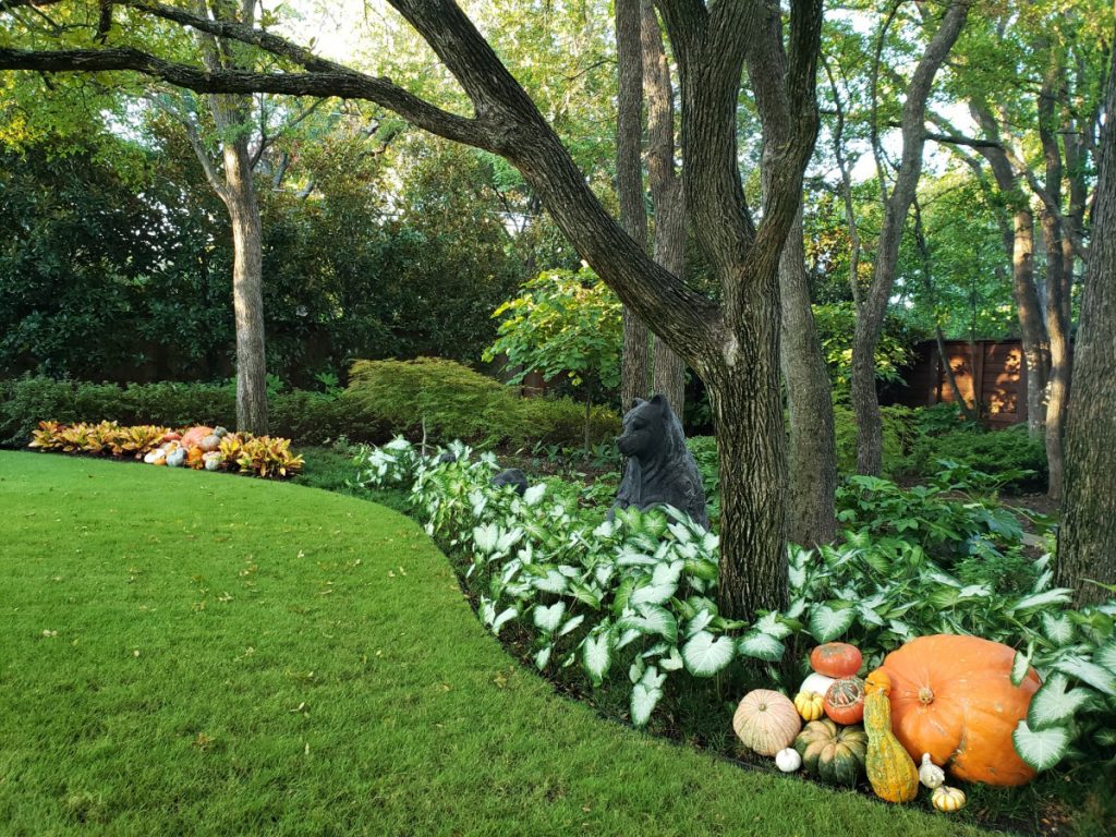 Bonick Landscaping Festive Fall Landscaping Ideas  