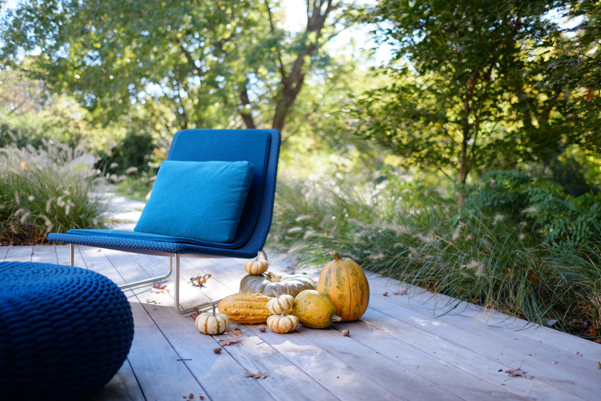 Bonick Landscaping Dazzle Your Landscape with Fall Color