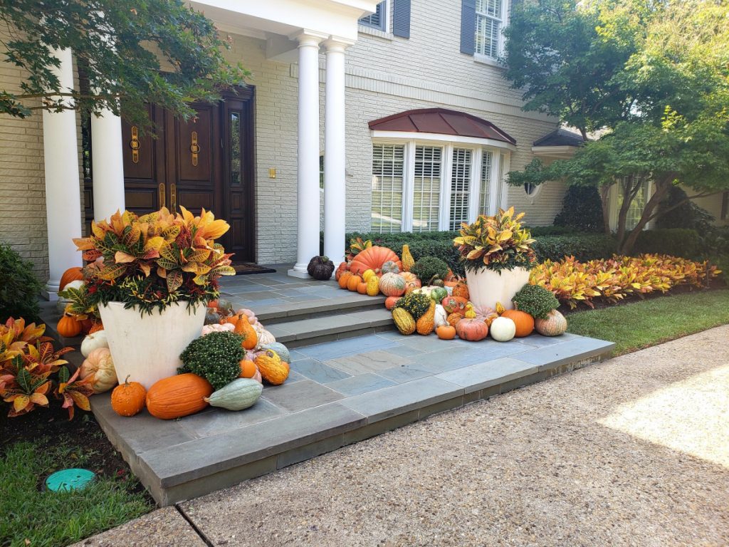 Bonick Landscaping Dazzle Your Landscape with Fall Color  