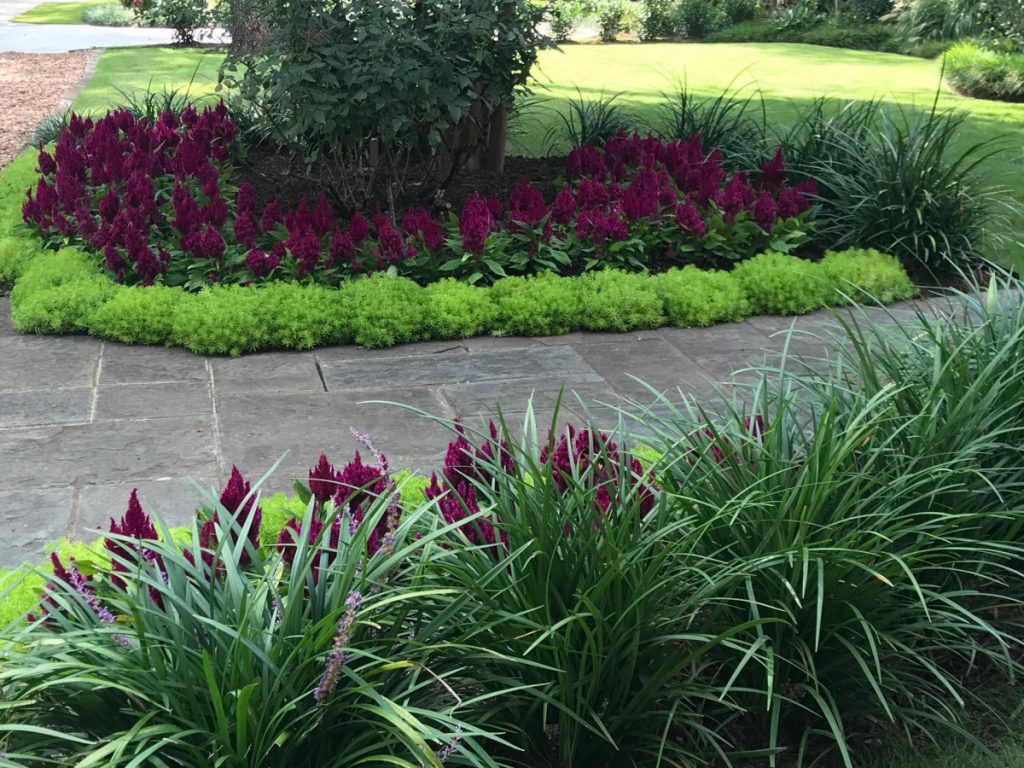 Bonick Landscaping Dazzle Your Landscape with Fall Color  