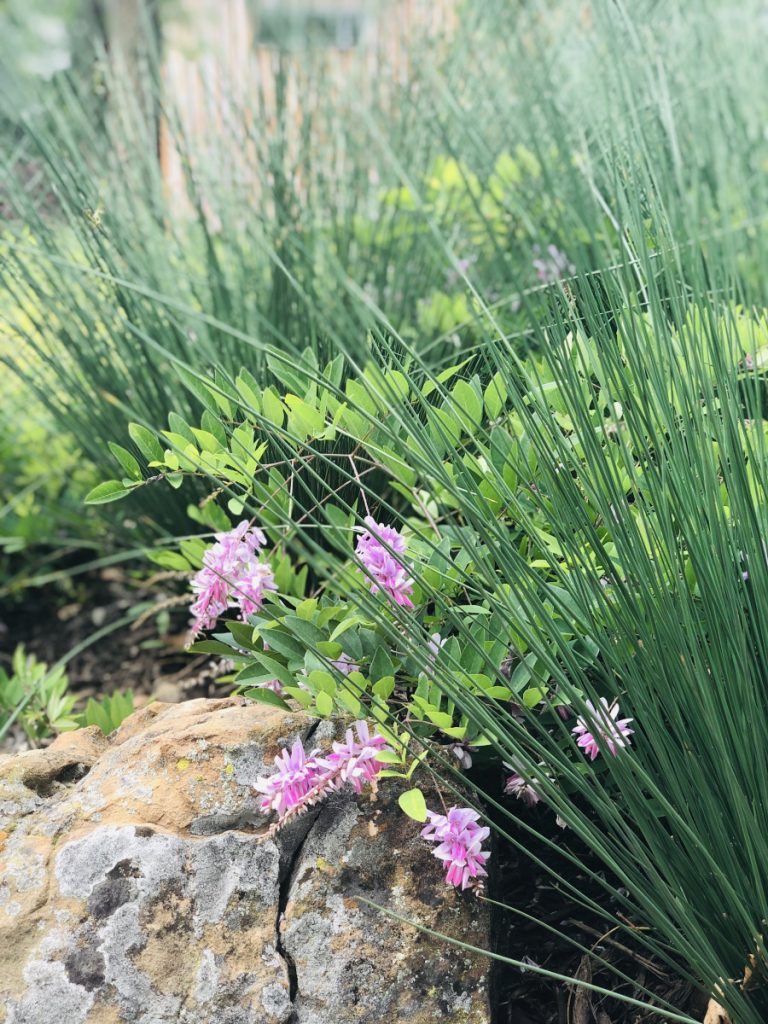 Bonick Landscaping How to Grow Climate-Resilient Gardens  