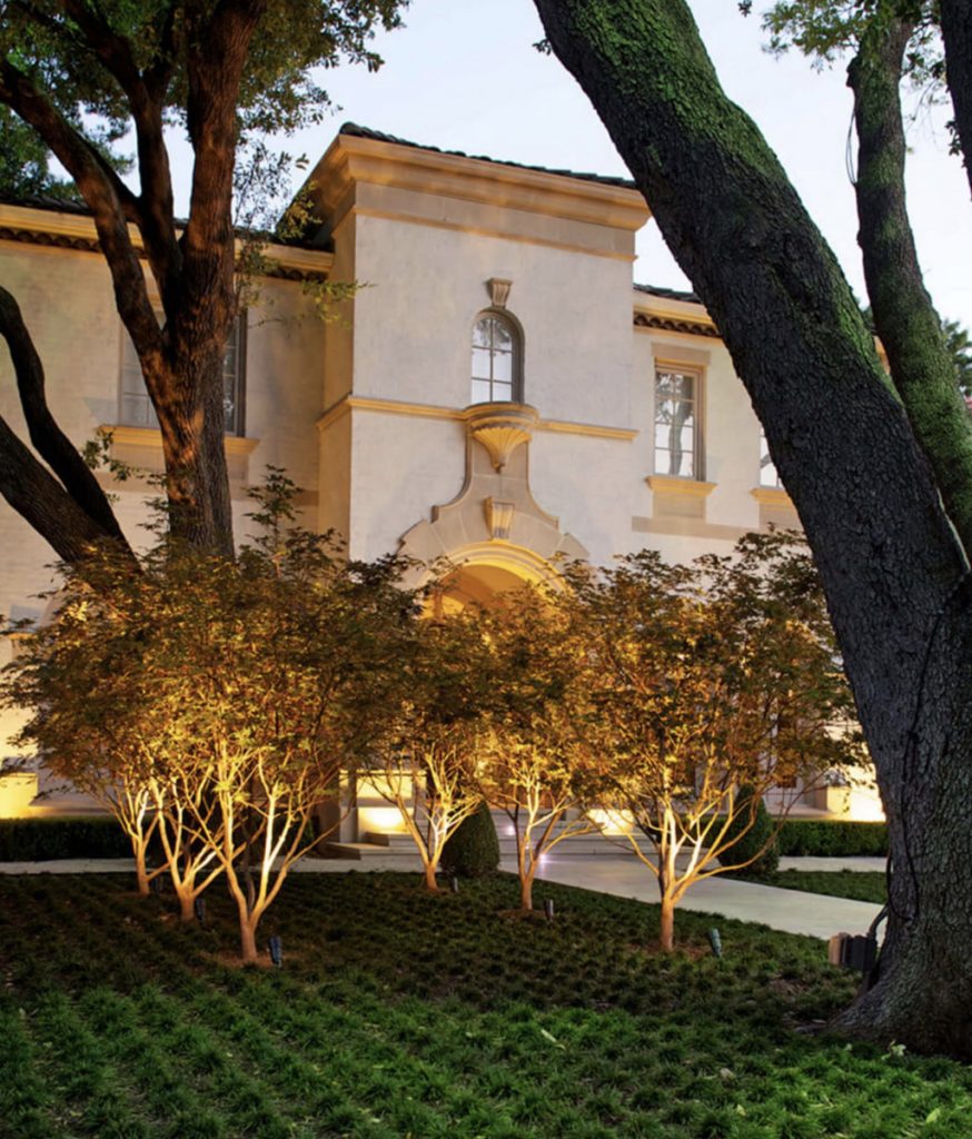 Bonick Landscaping Beauty Beneath the Bough: The Benefits of Trees  