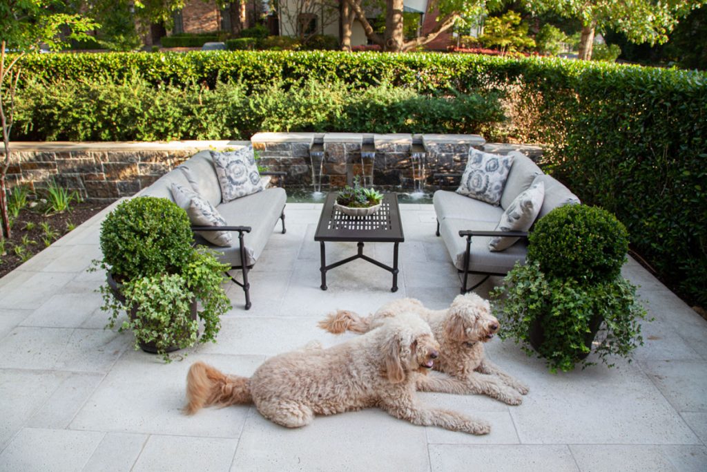 Bonick Landscaping Dog Days of Summer: How Dallasites Beat the Heat  