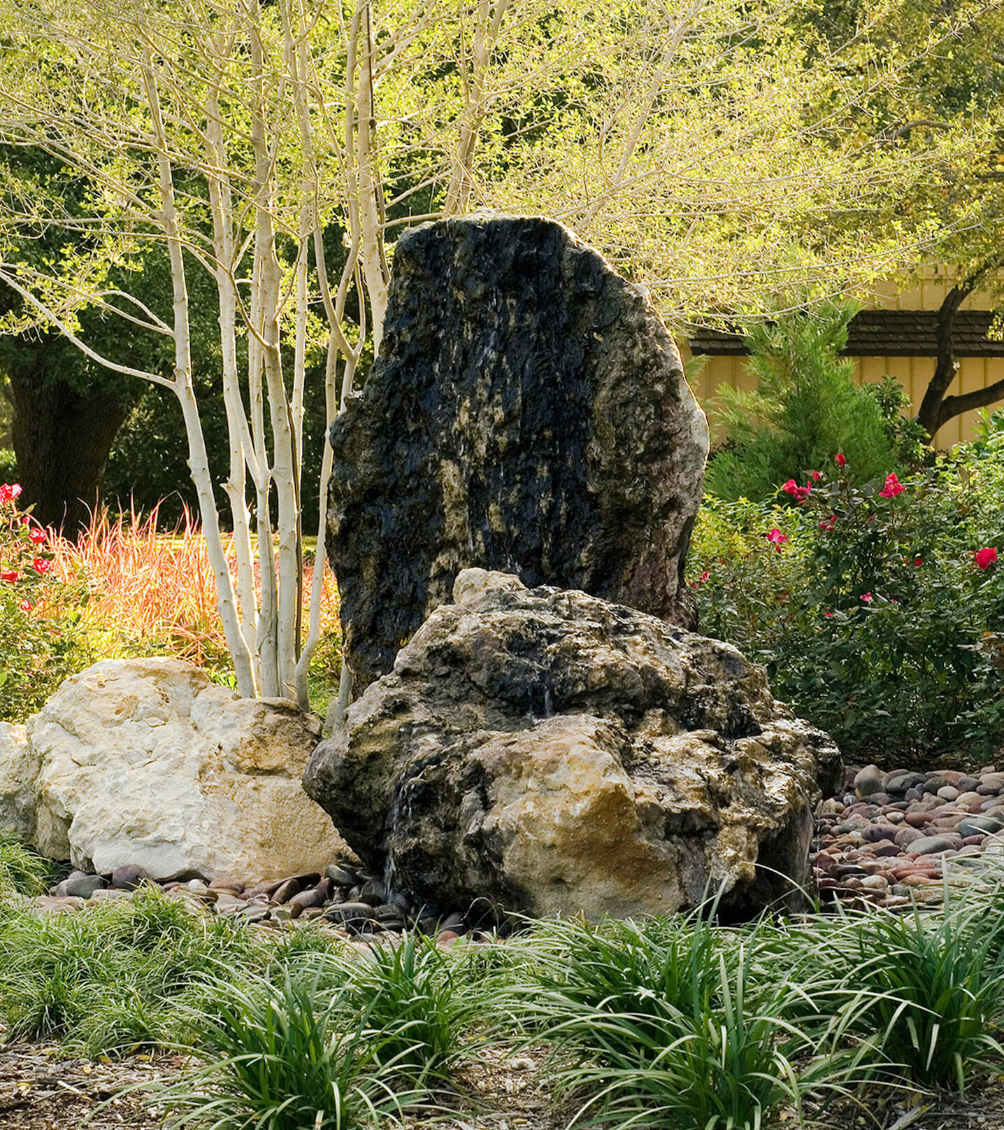 Preston-Hollow-Outdoor-Living-Space-Native-Plant-Landscaping-Bonick