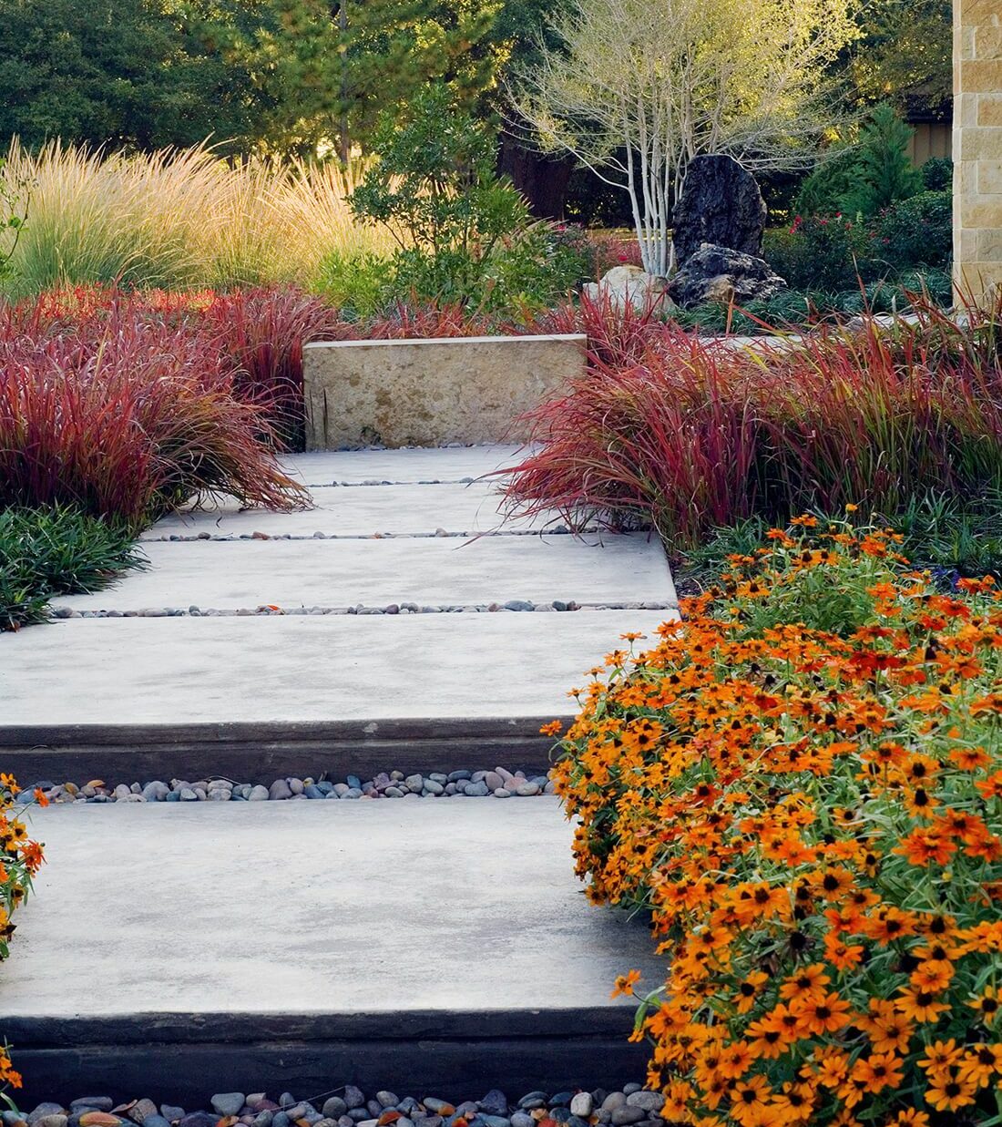 Preston-Hollow-Outdoor-Living-Space-Native-Plant-Landscaping-Bonick