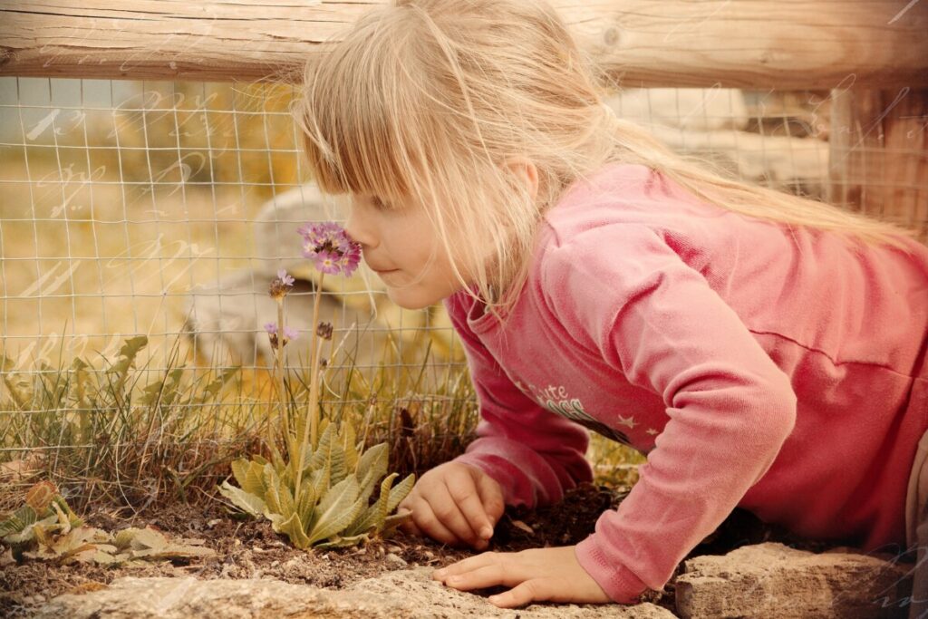 Bonick Landscaping How to Harness the Healing Benefits of a Fragrant Garden  