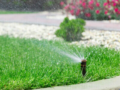 Simplify Water Conservation with Smart Sprinkler Controllers