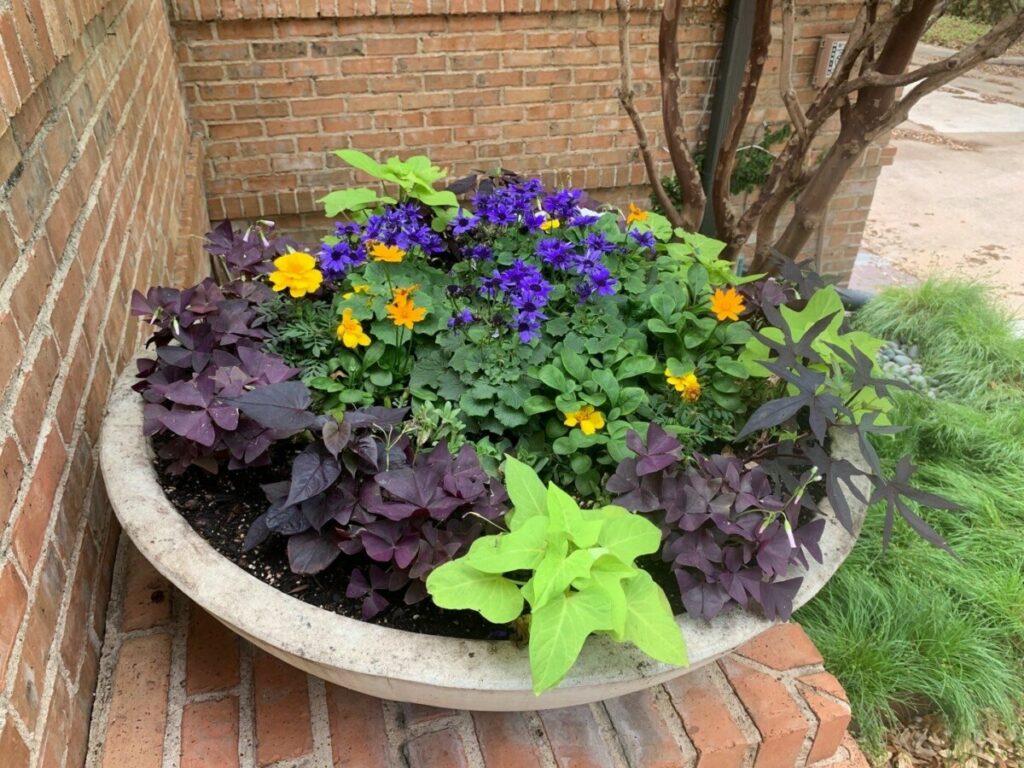 Bonick Landscaping 8 Reasons to Add Seasonal Color with Container Plants  