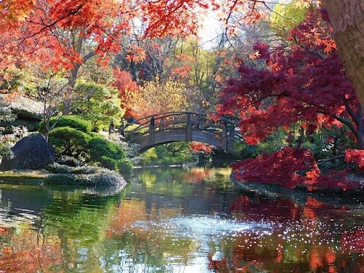 Bonick Landscaping The History of the Fort Worth Botanic Garden  