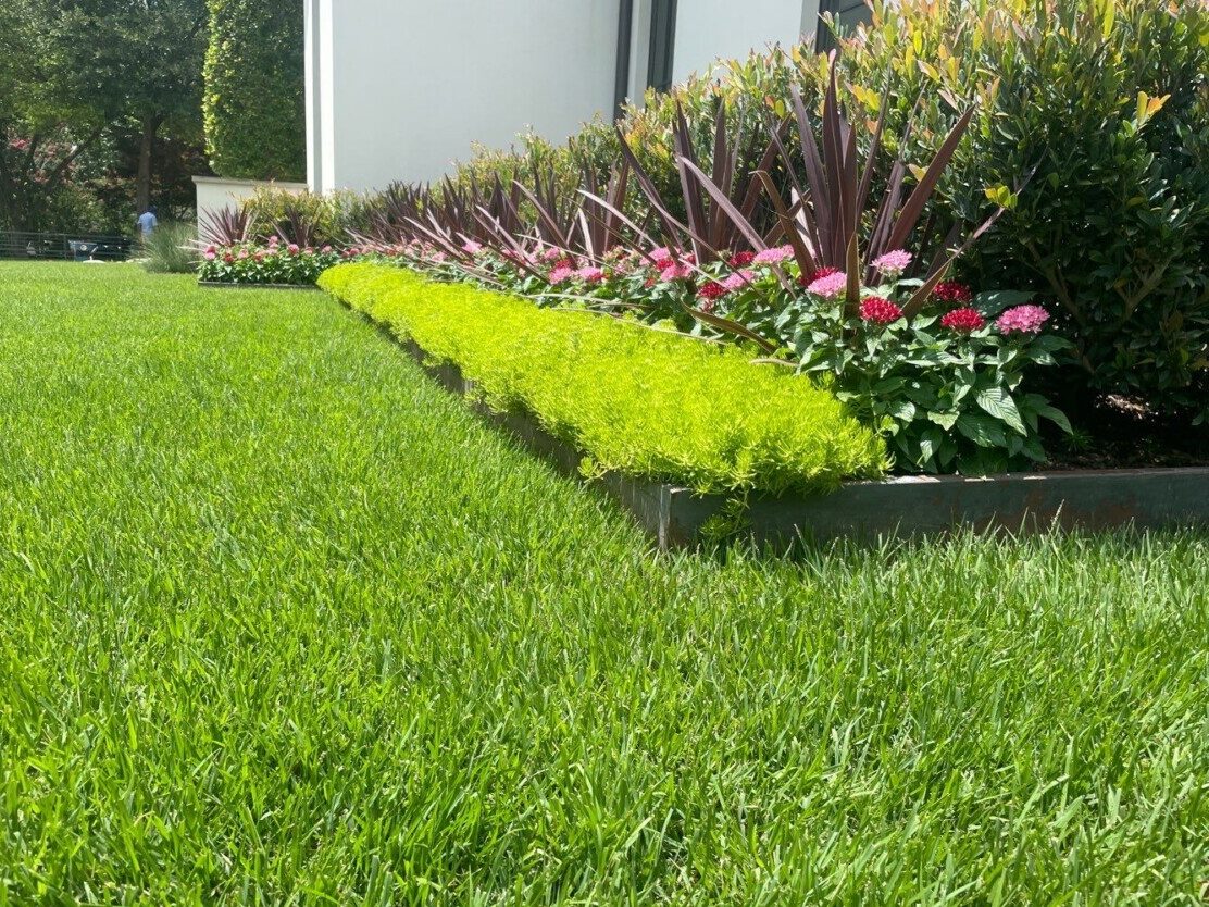 Bonick Landscaping Best Annual Summer Blooms & Perennial Pairings for Texas  
