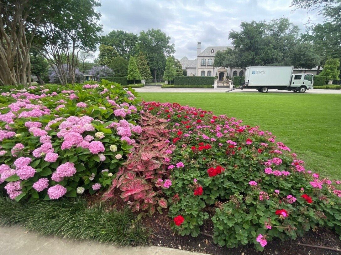 Bonick Landscaping Best Annual Summer Blooms & Perennial Pairings for Texas  