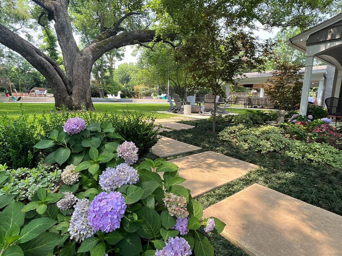 Bonick Landscaping Best Annual Summer Blooms & Perennial Pairings for Texas  