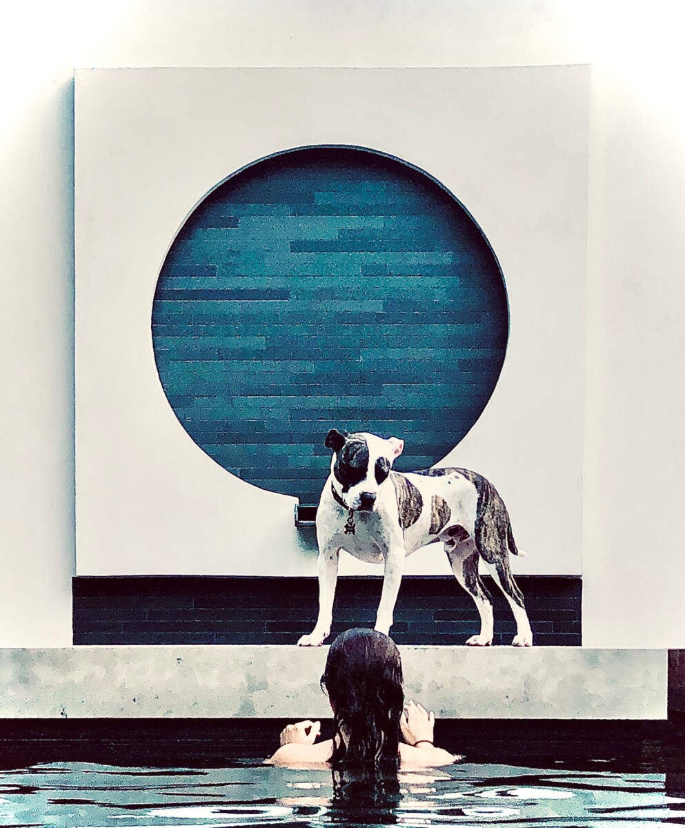 Bonick Landscaping Dog Days of Summer: How Dallasites Beat the Heat  