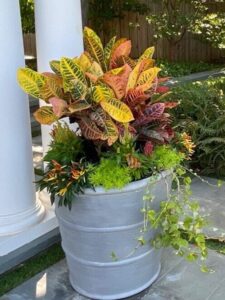 Bonick Landscaping Fall Landscape Design for Festive Color  