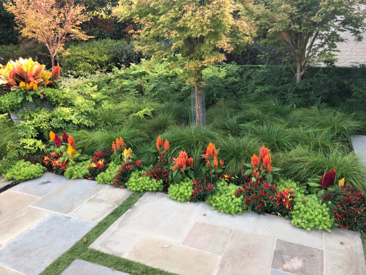 Bonick Landscaping Fall Landscape Design for Festive Color  
