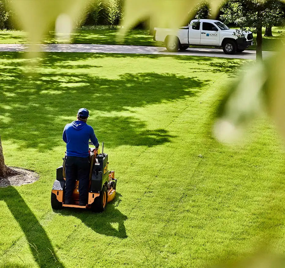 Garden care