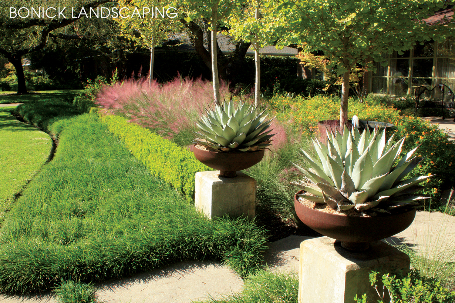 Front yard landscaping includes yucca plants, pink muhly and other other ornamental grasses.
