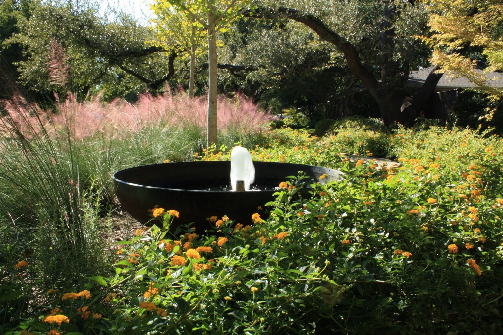 Contemporary steel fountain and lush garden - North Dallas