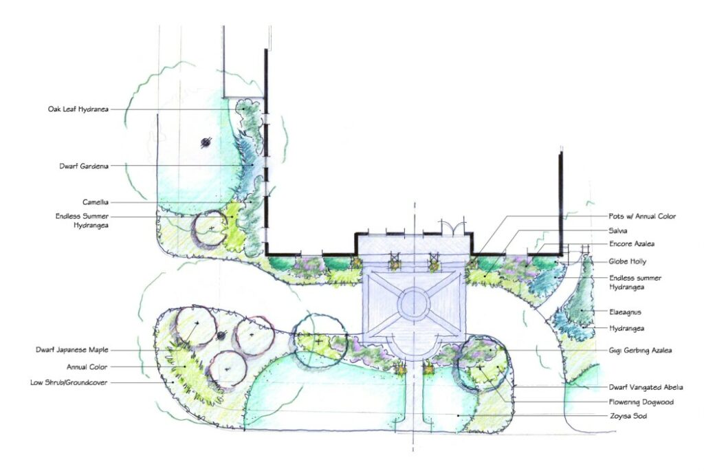 landscape concept plans - AutoCad rendering