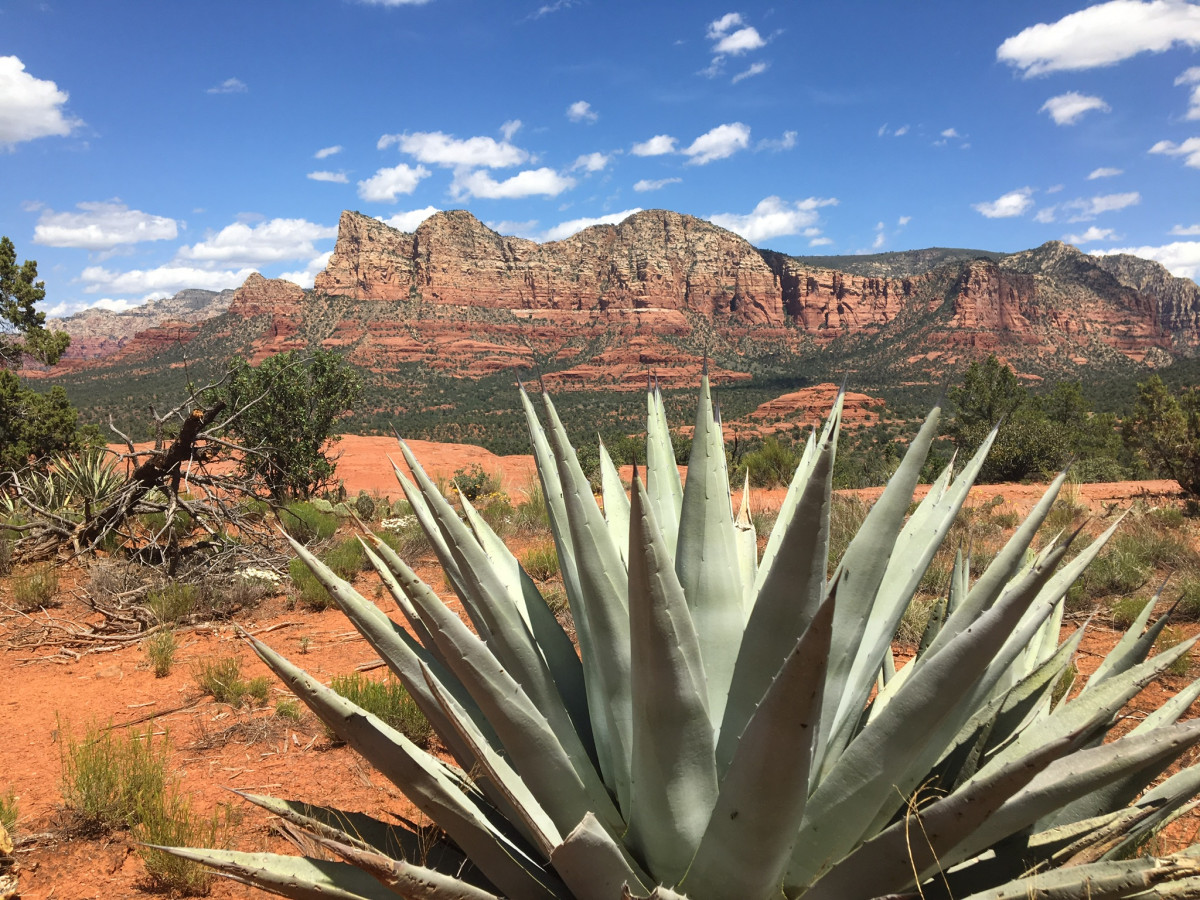 Sedona, AZ desert landscape