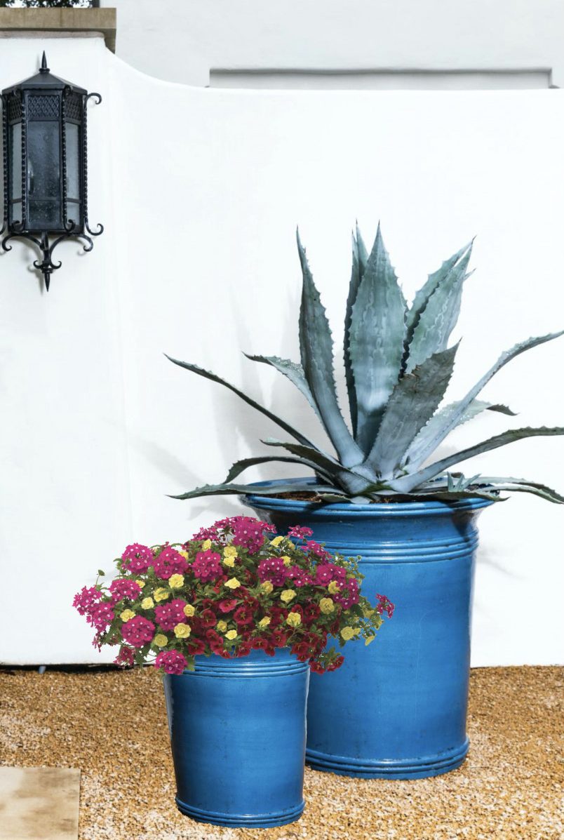Colorful Blue architectural planters with seasonal color
