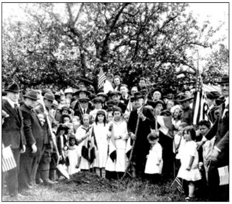 Historical photo of Arbor Day which beautifies landscaping with trees.