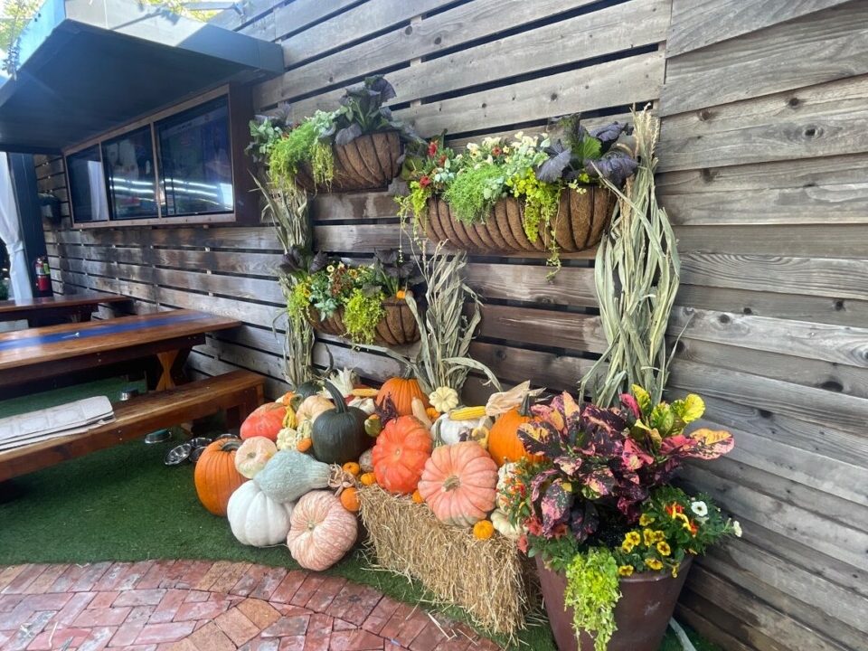 Festive Fall Landscaping Ideas
