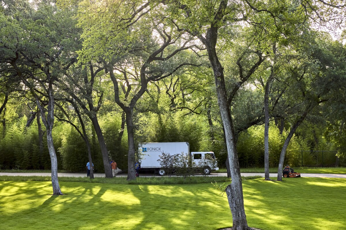 Bonick Truck in urban forest