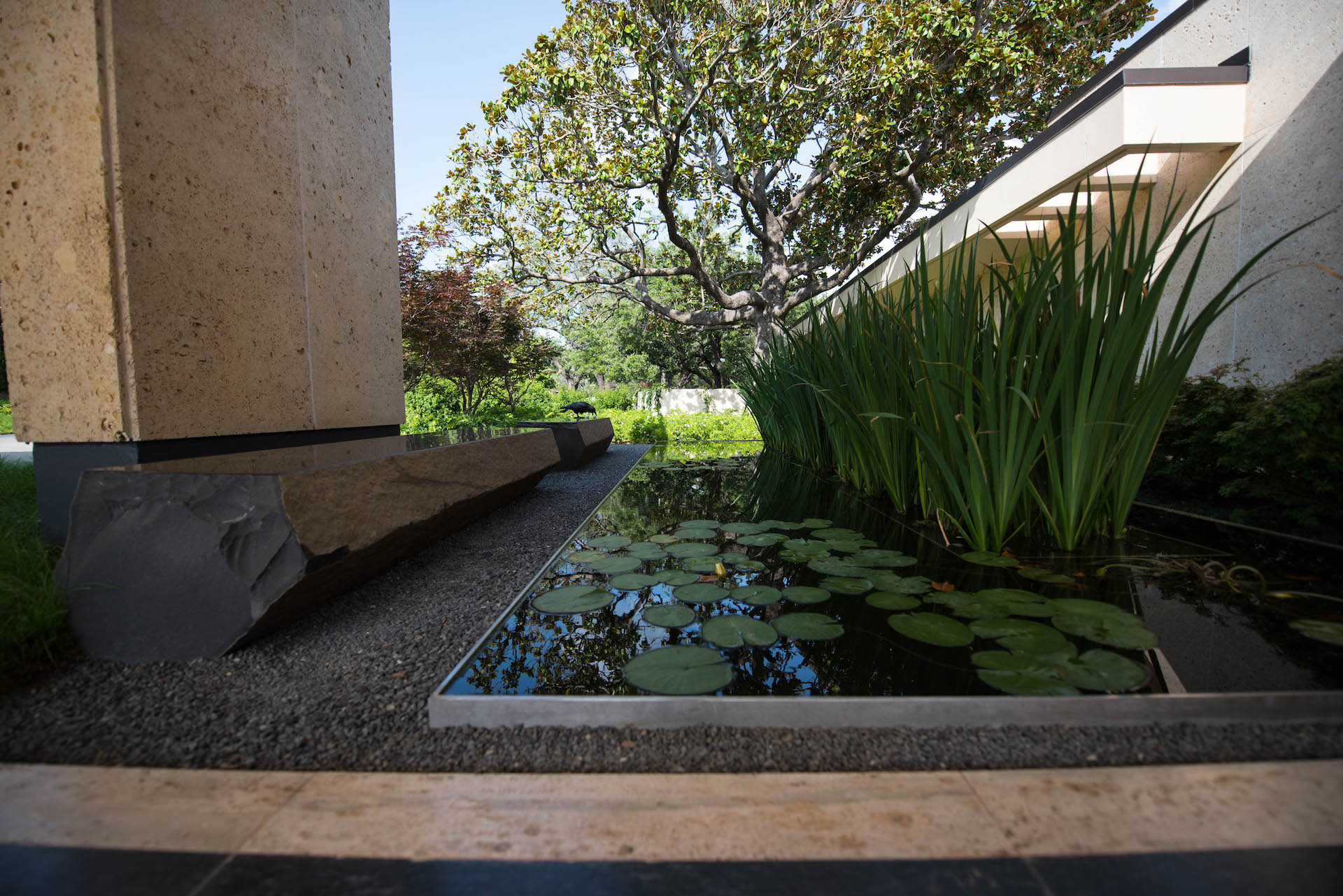 Black basalt bench and small lily-filled water feature.