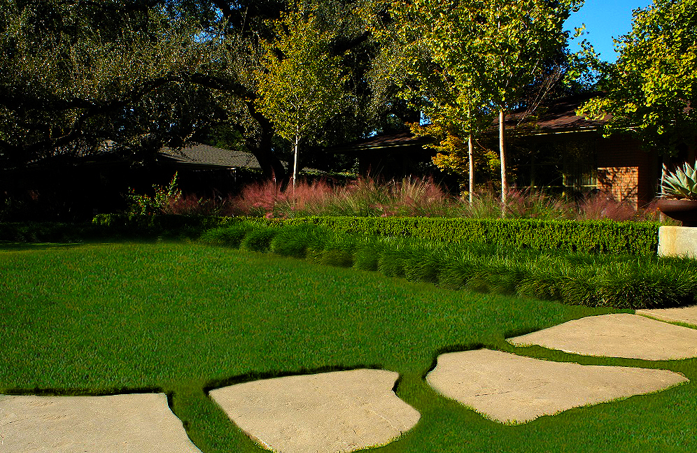 A well-maintained lawn in Dallas, TX.