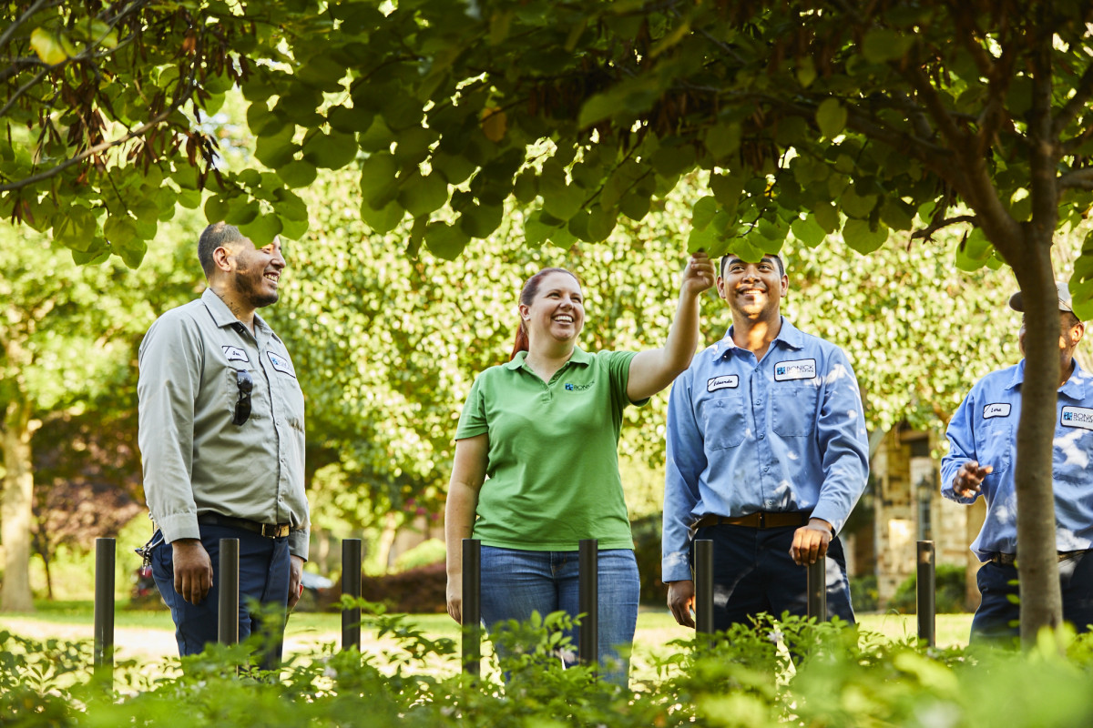 landscaping services dallas tx
