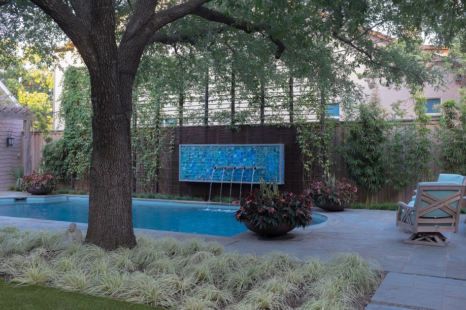 Modern backyard landscape design with large live oak and shade plantings.