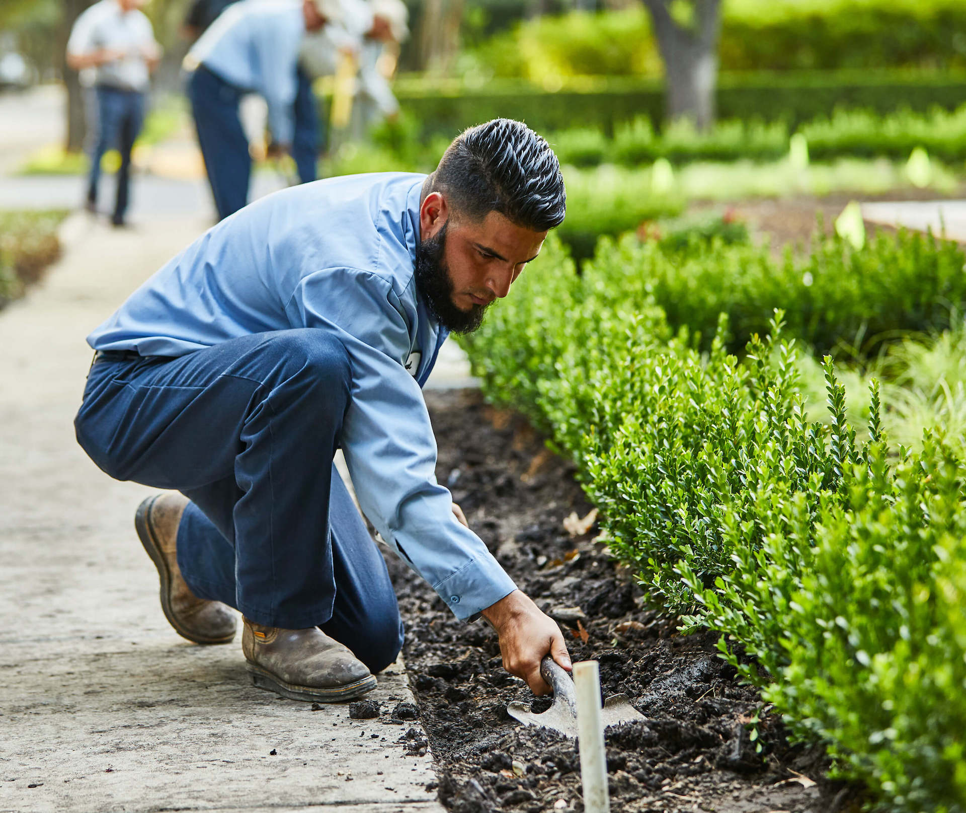 garden management