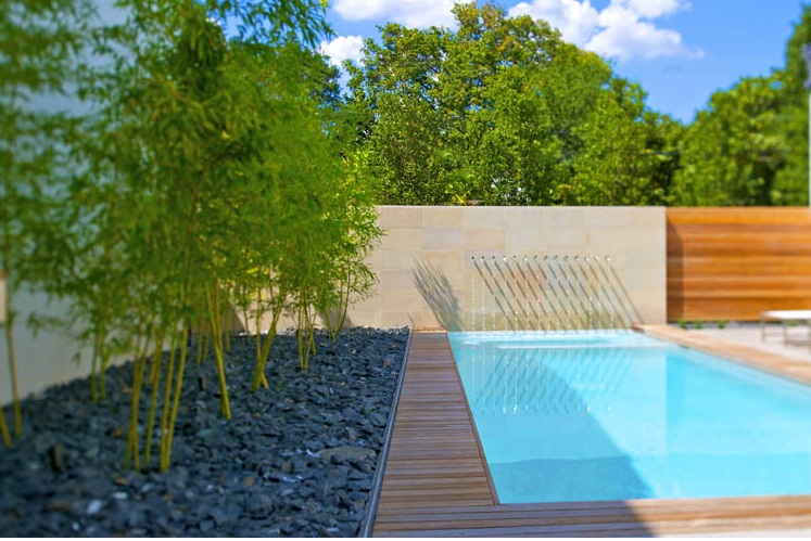 Bamboo garden with black basalt gravel next to swimming pool in backyard residence in Dallas, Texas.