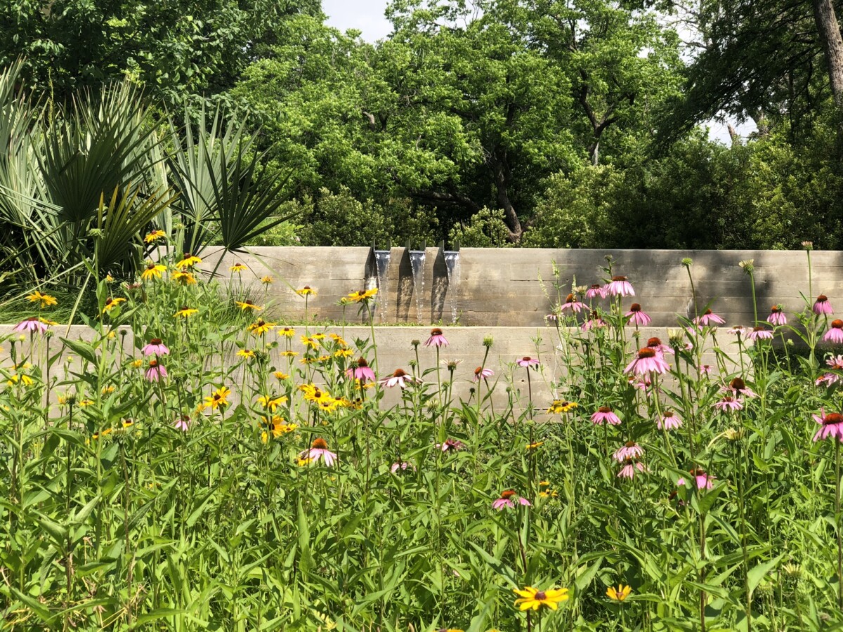 pollinator garden