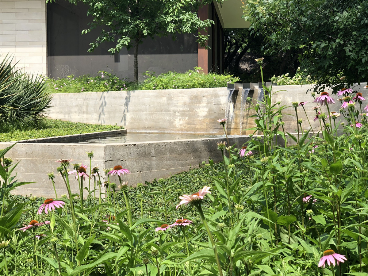 biodiverse garden