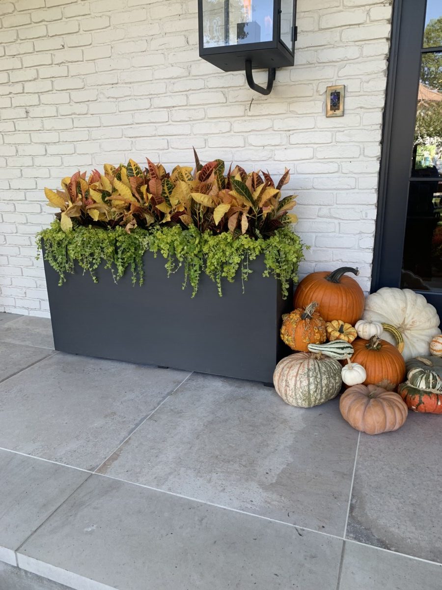 fall container color 