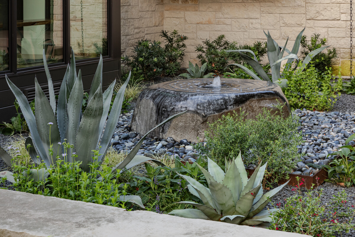 modern transitional garden on Kessler Parkway Dallas