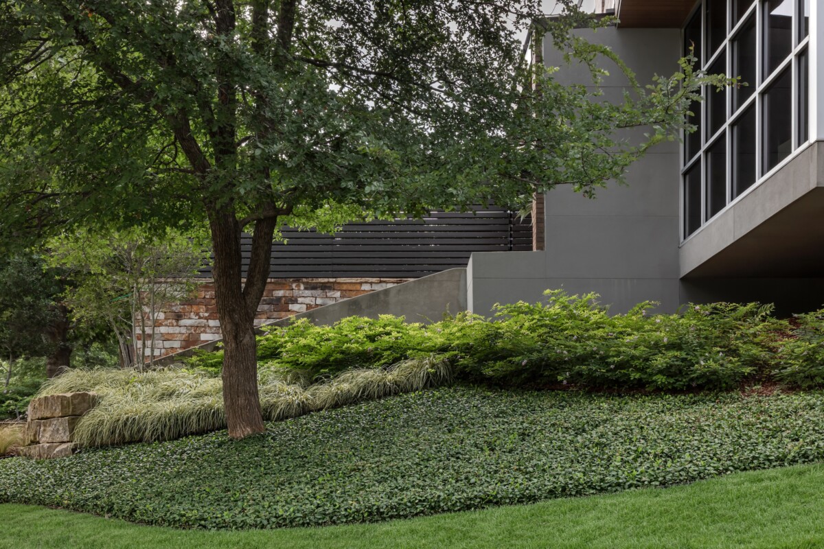 lush modern garden